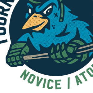 Logo de FESTIVAL M9 PRINCEVILLE