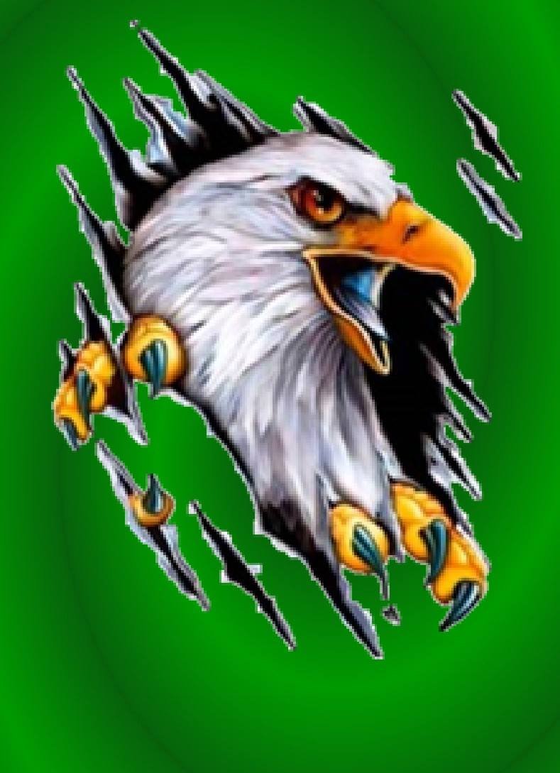 Logo de TOURNOI PROVINCIAL M18 DAVELUYVILLE