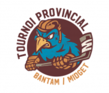 Logo de TOURNOI PROVINCIAL M15 / M18 DESJARDINS DE PRINCEVILLE