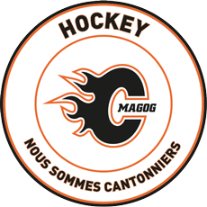 Logo de FESTIVAL M7-M9 DE MAGOG