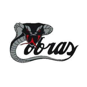 Logo de TOURNOI PROVINCIAL M11 DE LA PLAINE