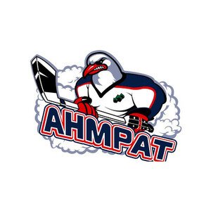 Logo de TOURNOI NATIONAL M13 LES POINTELIERS