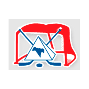 Logo de FESTIVAL  M9 POINTO